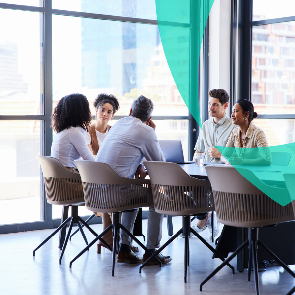 Van Ameyde Consultancy