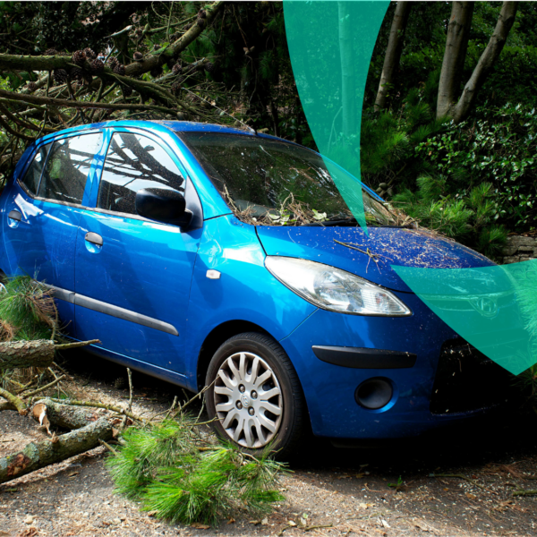 Voiture bleue endommagée par des branches d'arbres tombées après une tempête, illustrant une demande d'indemnisation au titre de l'assurance automobile.