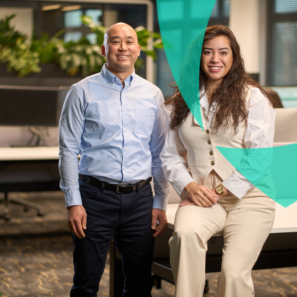 Van Ameyde Interim Professionals