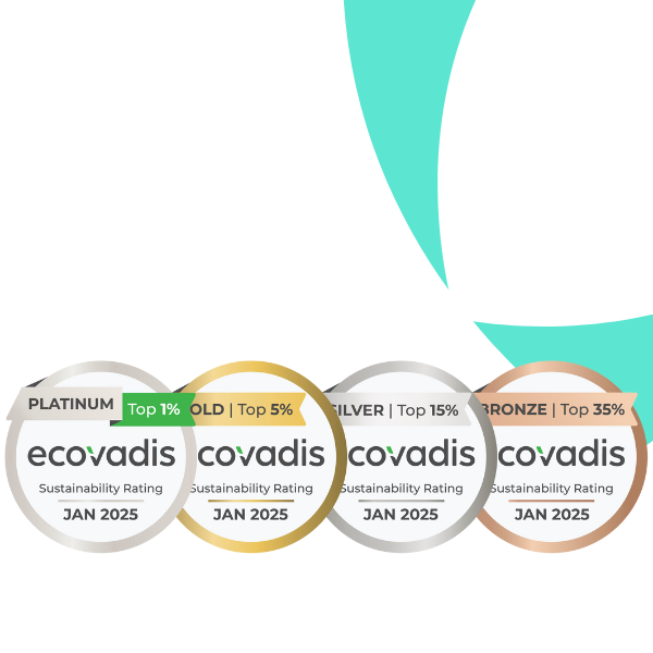 Van Ameyde Ecovadis Branding Image