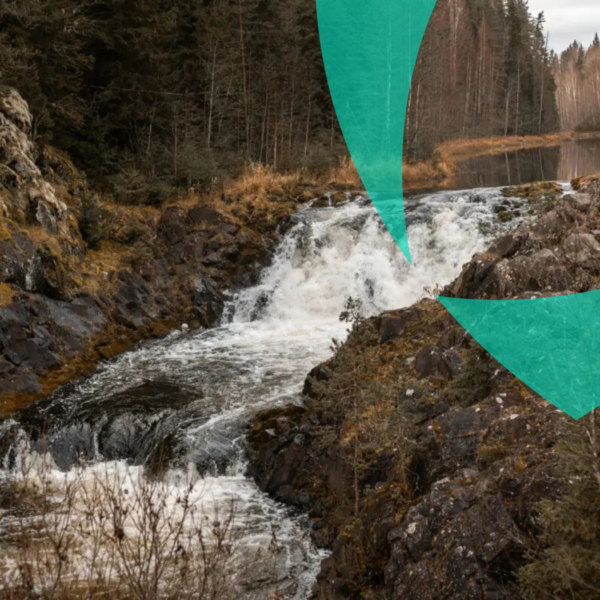 Una tranquilla cascata che scorre in un ruscello roccioso nel mezzo della foresta, simbolo dei servizi continui e affidabili di Van Ameyde.