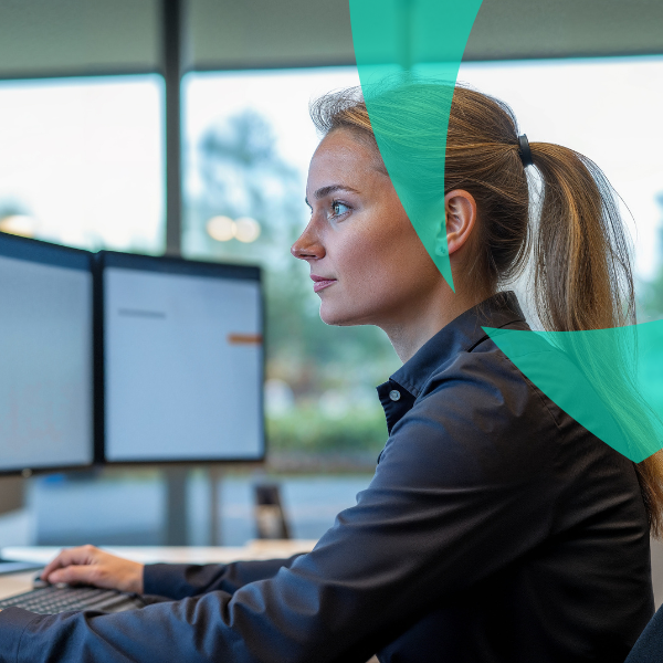 Van Ameyde Interim Professionals