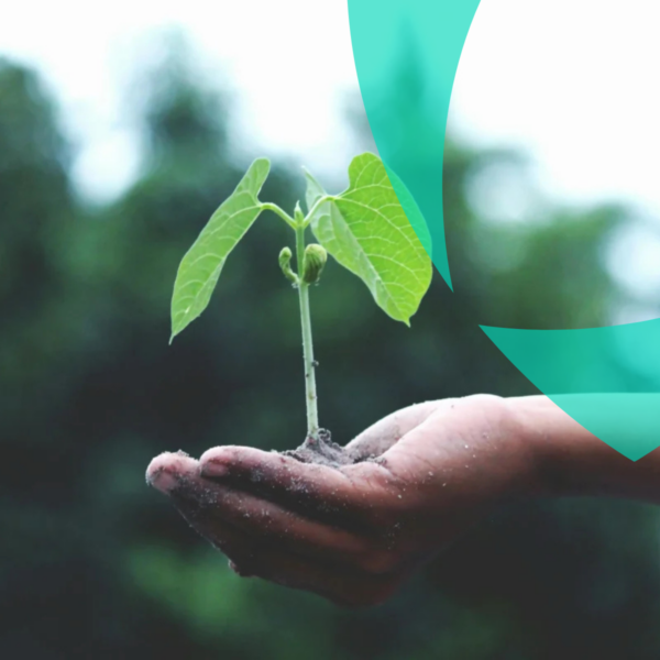 Hand holding a small green plant growing in soil, symbolizing sustainability and environmental responsibility.